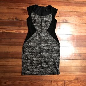 Ann Taylor Dress
